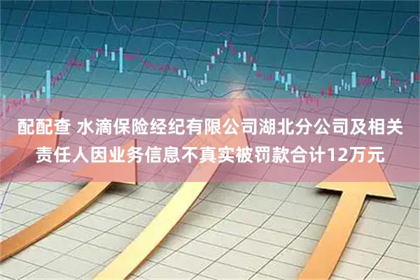 配配查 水滴保险经纪有限公司湖北分公司及相关责任人因业务信息不真实被罚款合计12万元